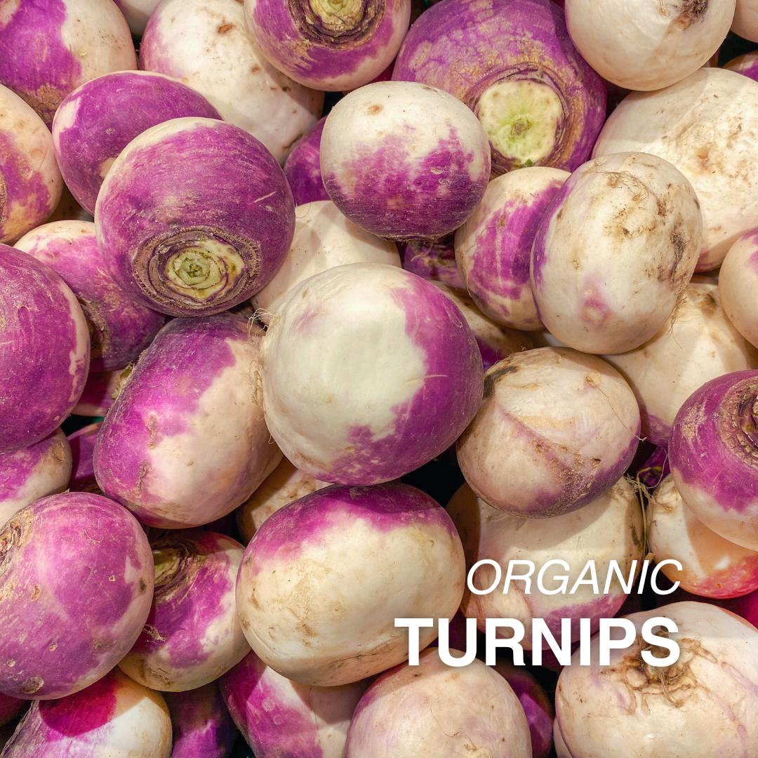 Organic Turnips - PER LB