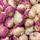 Organic Turnips - PER LB-2