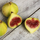 Organic Candystripe Figs - PINT-2