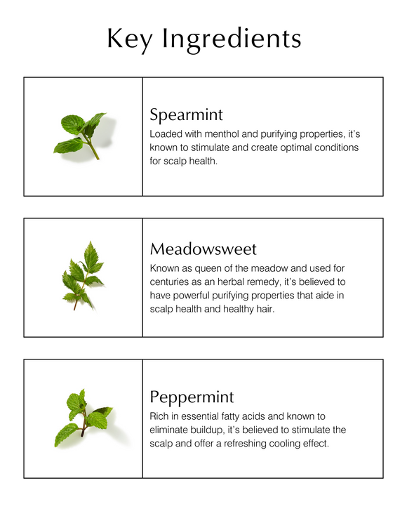 Scalp Purifying Serum with Spearmint & Meadowsweet: 1.9 fl oz.