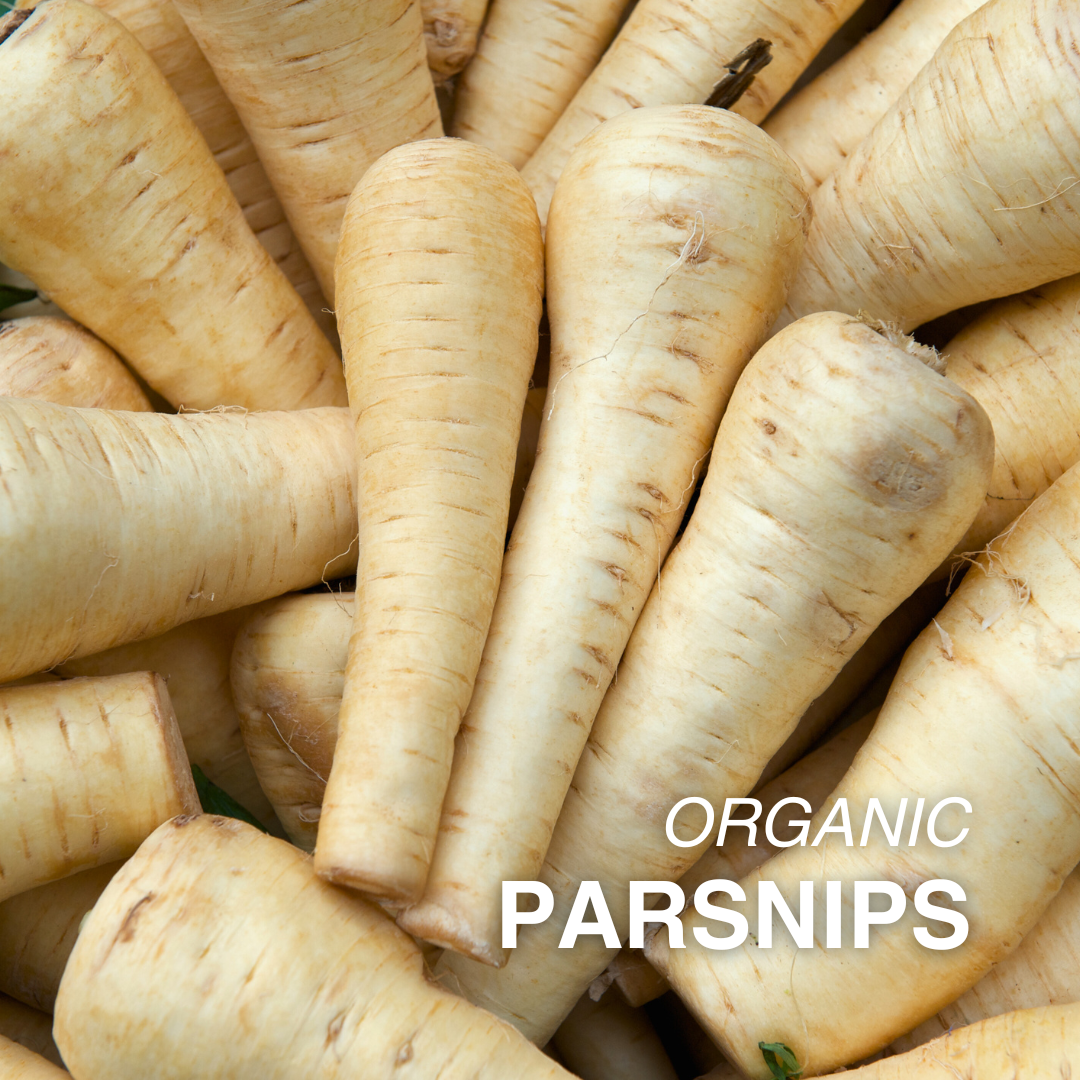 Organic Parsnip - PER LB