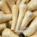Organic Parsnip - PER LB-1
