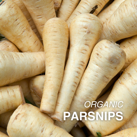 Organic Parsnip - PER LB