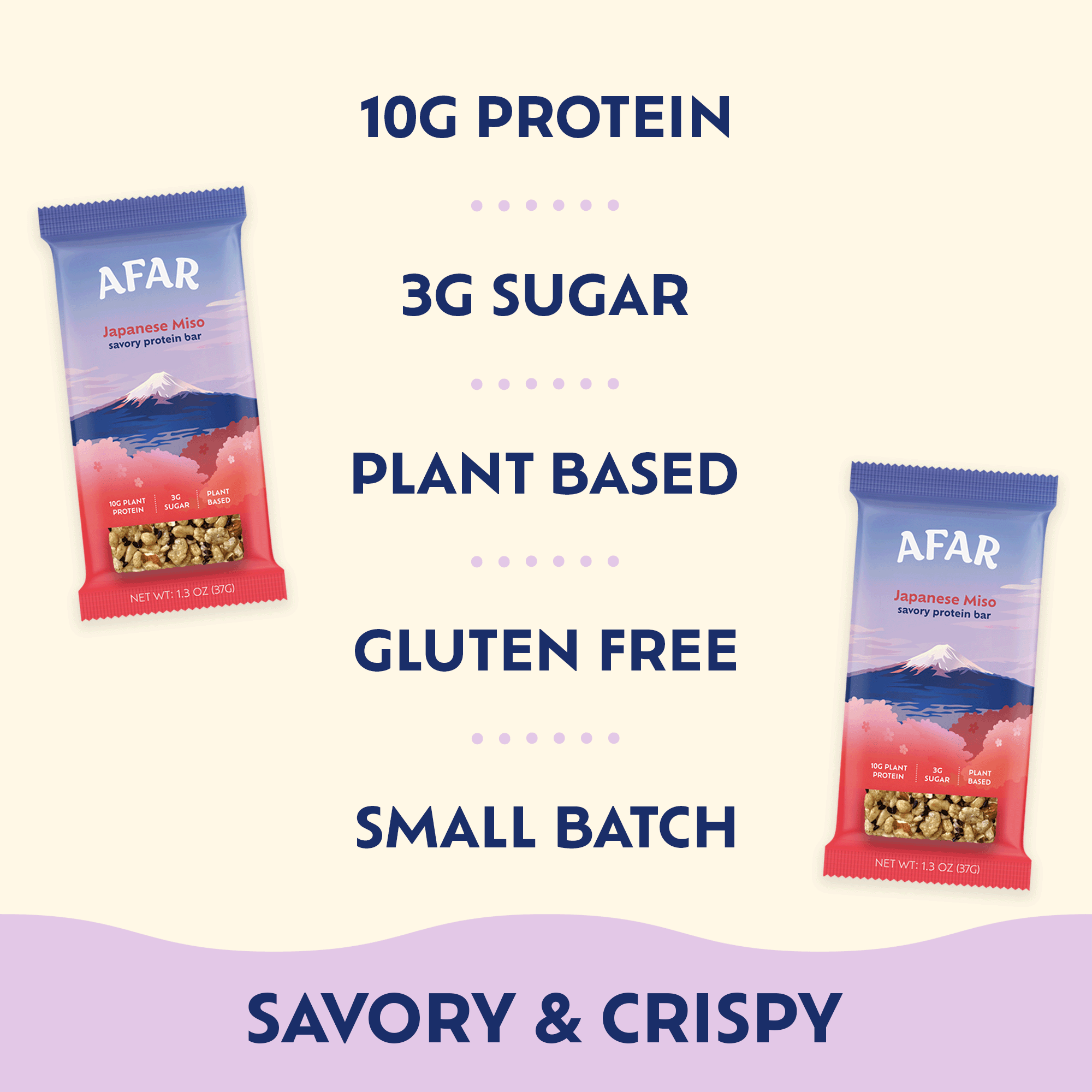 Savory Protein Bar - Japanese Miso Flavor