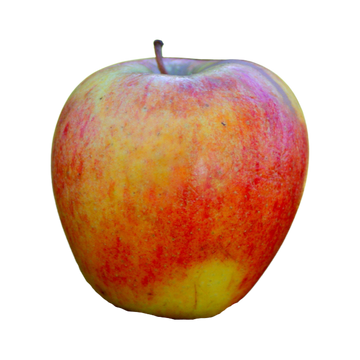 Organic Jazz Apple - EACH