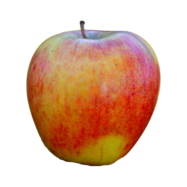 Organic Pinata Apple - EACH