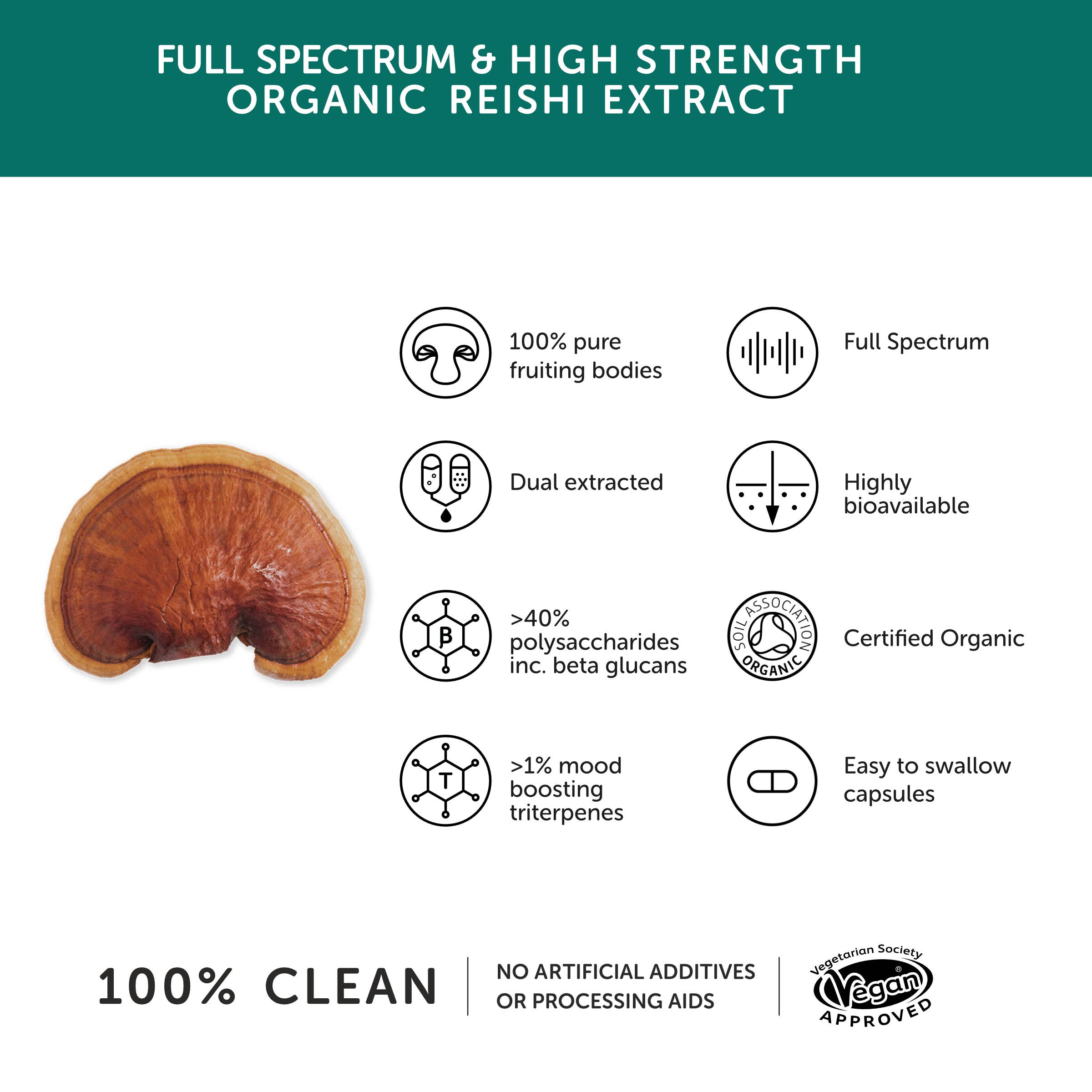 Reishi Mushroom 10,300mg - High Strength – 60 CAPSULES