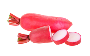Organic Red Daikon - PER LB