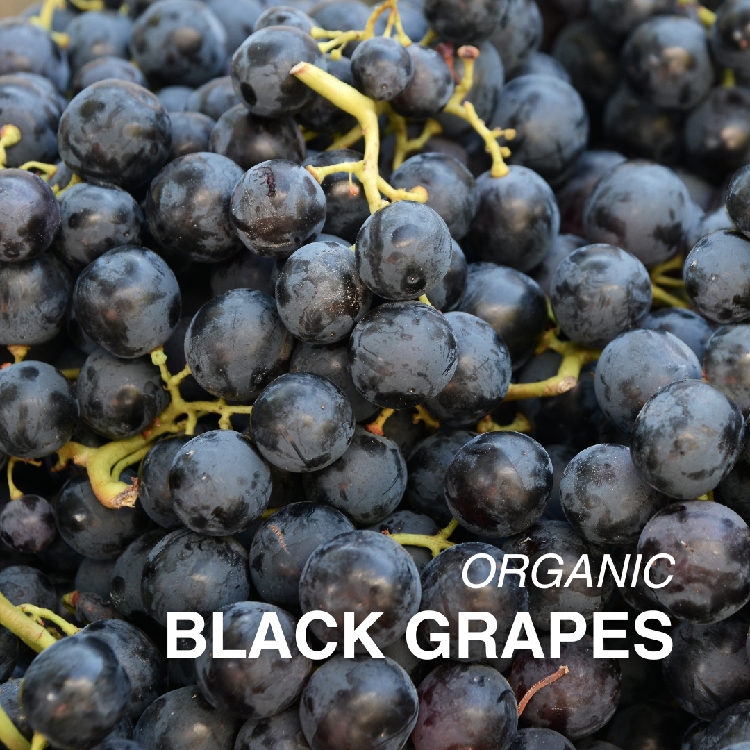 Organic Black Grapes - PER LB