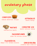 Ovulatory Phase Gummies - 0.9 OZ-2