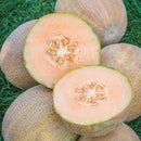 Organic Ambrosia Melon - EACH-1