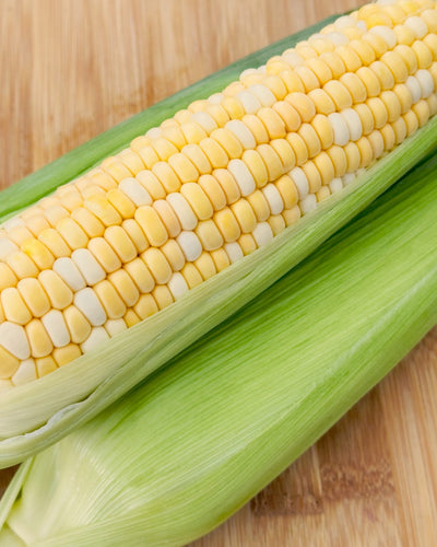 Organic Sweet Corn - EAR