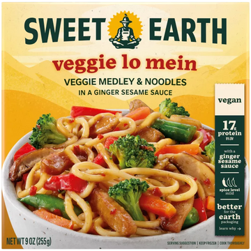 Veggie Lo Mein - 9 OZ