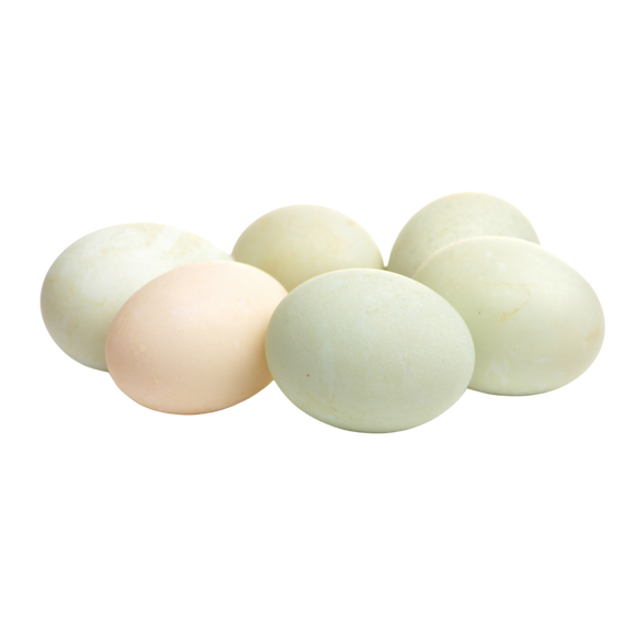 Local Duck Eggs
