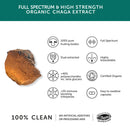 Chaga Mushroom 9450mg - High Strength – 60 CAPSULES-3