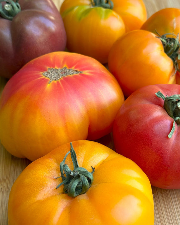 Organic Heirloom Tomatoes - PER LB