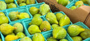 Organic Desert King Figs - PINT-1