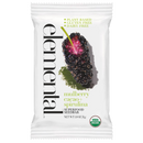 Mulberry Cacao + Spirulina Superfood Bar - 1.8 OZ-1