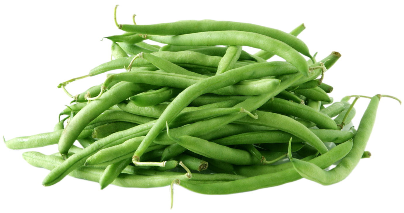 Organic Green Beans - 1 LB