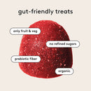 Berrylicious Organic Natural Fruit Snacks (5-pack)-9