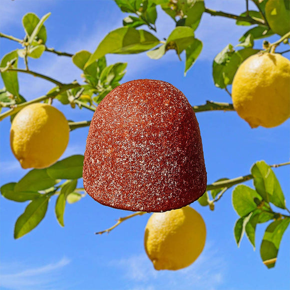 Appletastic Organic Natural Fruit Snacks (5-pack)