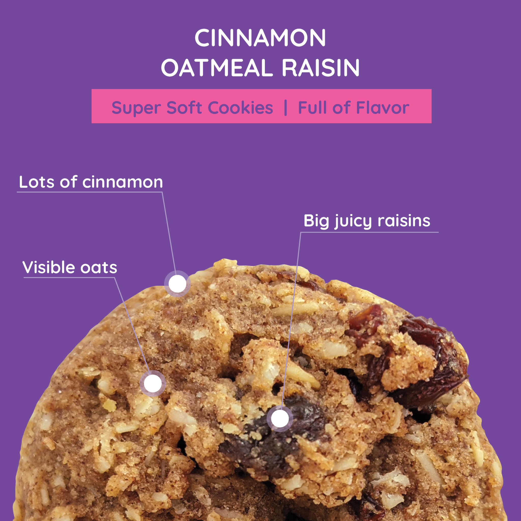 Cinnamon Oatmeal Raisin Cookies - Individually Wrapped