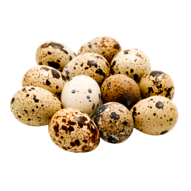 Local Quail Eggs - 12 Eggs