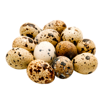 Local Quail Eggs - 12 Eggs