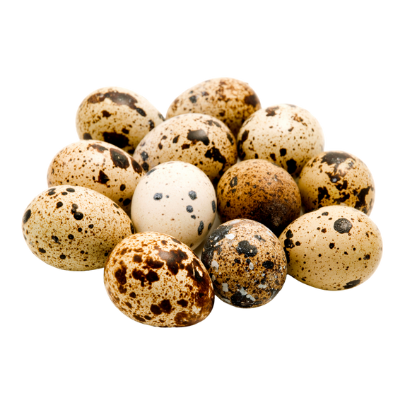 Local Quail Eggs - 12 Eggs