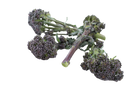 Organic Purple Baby Broccoli - EACH-2
