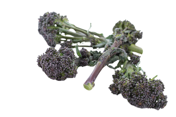 Organic Purple Sprouting Broccoli - EACH