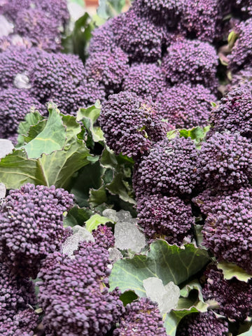 Organic Purple Baby Broccoli - EACH