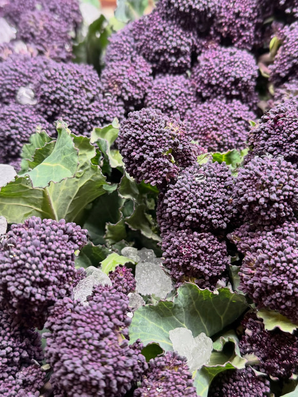 Organic Purple Baby Broccoli - EACH