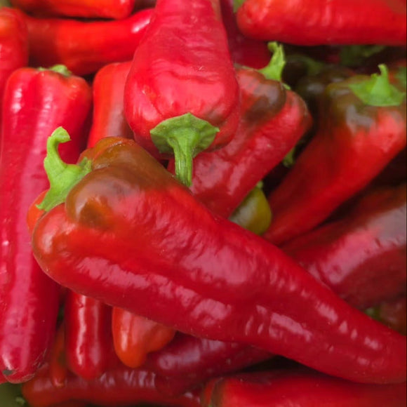 Organic Red Italian Long Sweet Peppers - EACH