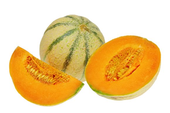 Organic Charentais Dry Farm Melon - EACH