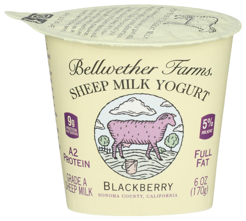 Bellwether Blackberry Sheep Milk Yogurt - 6 FO
