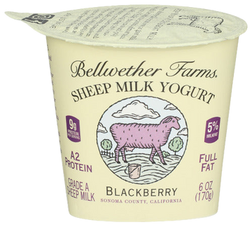 Bellwether Blackberry Sheep Milk Yogurt - 6 FO