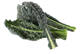 Organic Italian Kale - BUNCH