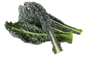 Organic Italian Kale - BUNCH
