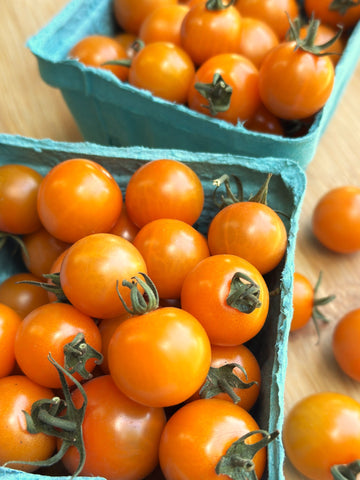 Organic Sungold Cherry Tomatoes - PINT