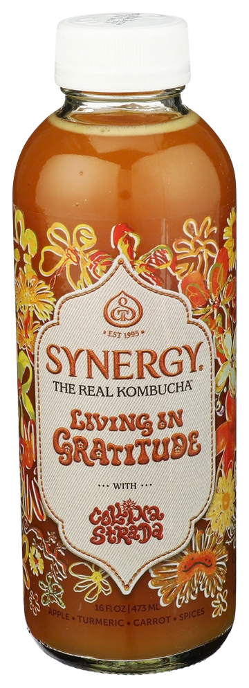Gts "Living in Gratitude" Kombucha - 16.2 FO