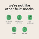 Appletastic Organic Natural Fruit Snacks (5-pack)-10