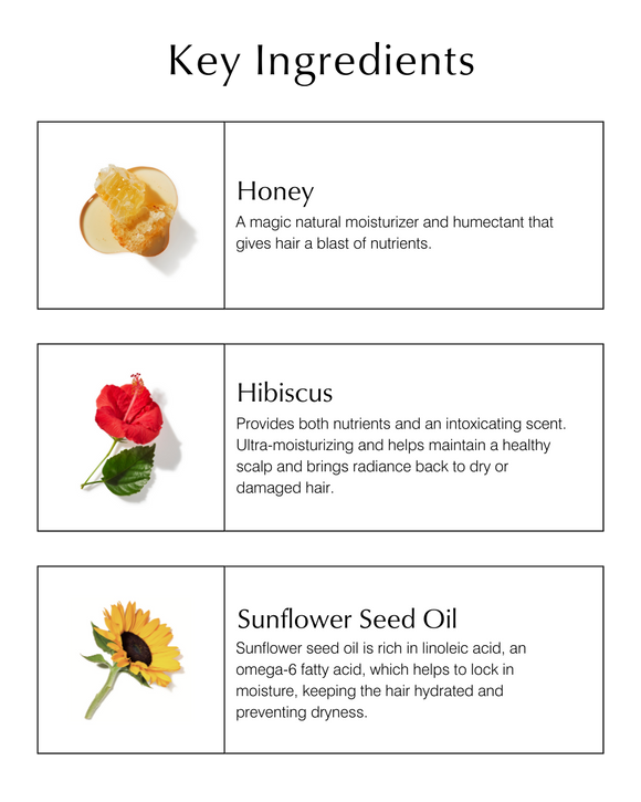 Repair Conditioner for Damaged Hair with Honey & Hibiscus: 6 fl oz / 177 ml