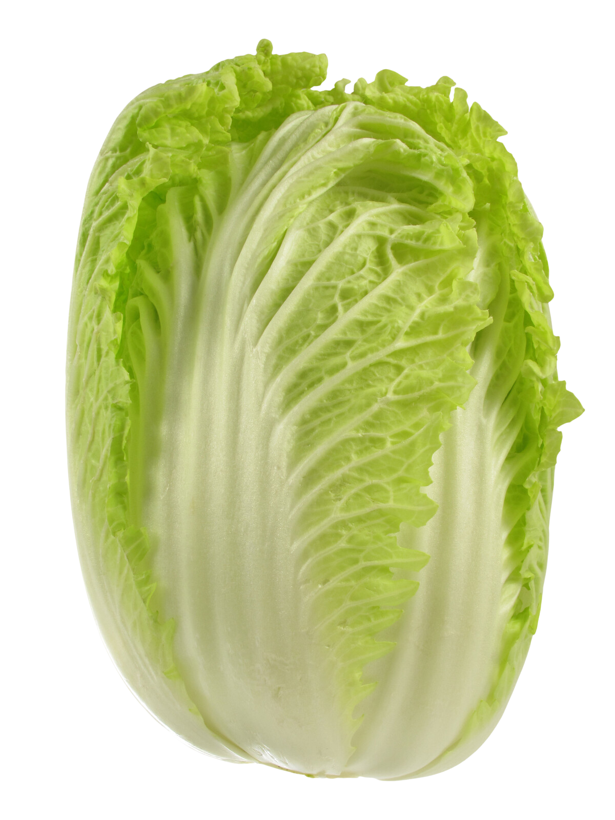 Organic Napa Cabbage - EACH