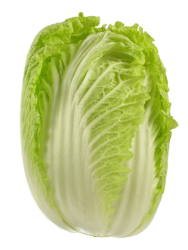 Organic Napa Cabbage - EACH