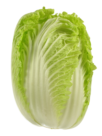 Organic Napa Cabbage - EACH