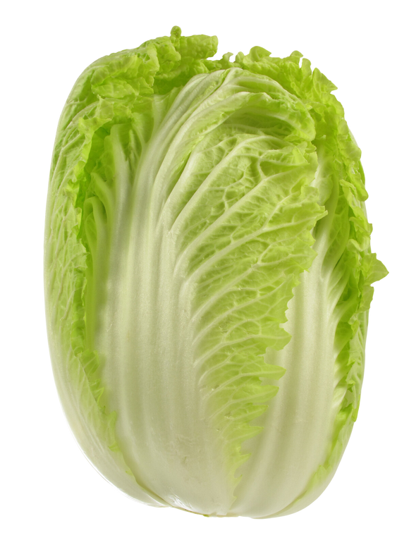 Organic Napa Cabbage - EACH