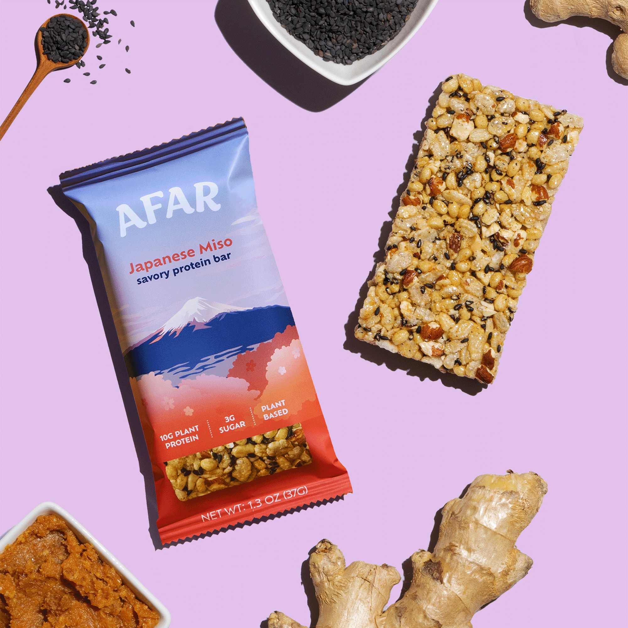 Savory Protein Bar - Japanese Miso Flavor