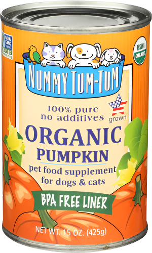 Organic Pumpkin Pet Food - 15 OZ