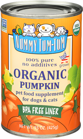 Organic Pumpkin Pet Food - 15 OZ